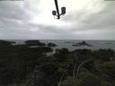 ./images/calvert/lookout/20210611/lookout20210611_112501.jpg