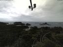 ./images/calvert/lookout/20210611/lookout20210611_113501.jpg