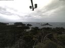 ./images/calvert/lookout/20210611/lookout20210611_115001.jpg
