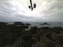 ./images/calvert/lookout/20210611/lookout20210611_120502.jpg