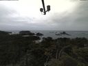 ./images/calvert/lookout/20210611/lookout20210611_124002.jpg