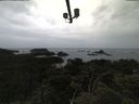 ./images/calvert/lookout/20210611/lookout20210611_124502.jpg