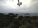 ./images/calvert/lookout/20210611/lookout20210611_130501.jpg