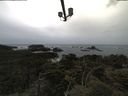 ./images/calvert/lookout/20210611/lookout20210611_132501.jpg