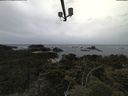 ./images/calvert/lookout/20210611/lookout20210611_133501.jpg