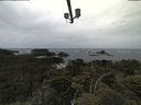 ./images/calvert/lookout/20210611/lookout20210611_134501.jpg