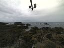 ./images/calvert/lookout/20210611/lookout20210611_135001.jpg