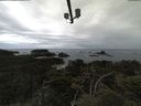 ./images/calvert/lookout/20210611/lookout20210611_142002.jpg