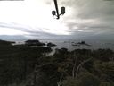 ./images/calvert/lookout/20210611/lookout20210611_144501.jpg
