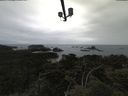 ./images/calvert/lookout/20210611/lookout20210611_162502.jpg