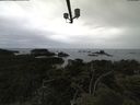 ./images/calvert/lookout/20210611/lookout20210611_163501.jpg