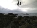 ./images/calvert/lookout/20210611/lookout20210611_164501.jpg
