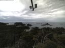 ./images/calvert/lookout/20210611/lookout20210611_165501.jpg