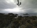 ./images/calvert/lookout/20210611/lookout20210611_210501.jpg