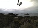 ./images/calvert/lookout/20210612/lookout20210612_092002.jpg