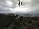 ./images/calvert/lookout/20210612/lookout20210612_115001.jpg