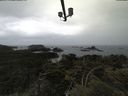 ./images/calvert/lookout/20210612/lookout20210612_130502.jpg
