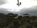 ./images/calvert/lookout/20210613/lookout20210613_094001.jpg