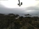 ./images/calvert/lookout/20210613/lookout20210613_095001.jpg