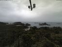 ./images/calvert/lookout/20210613/lookout20210613_100002.jpg