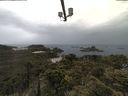 ./images/calvert/lookout/20210613/lookout20210613_102502.jpg