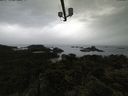 ./images/calvert/lookout/20210613/lookout20210613_104502.jpg