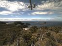 ./images/calvert/lookout/20210613/lookout20210613_134001.jpg