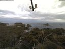 ./images/calvert/lookout/20210614/lookout20210614_051502.jpg