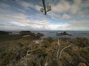 ./images/calvert/lookout/20210614/lookout20210614_092002.jpg