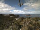 ./images/calvert/lookout/20210614/lookout20210614_105502.jpg