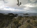 ./images/calvert/lookout/20210614/lookout20210614_121001.jpg