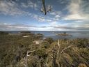 ./images/calvert/lookout/20210615/lookout20210615_093501.jpg
