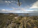 ./images/calvert/lookout/20210615/lookout20210615_094001.jpg