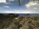 ./images/calvert/lookout/20210615/lookout20210615_113501.jpg