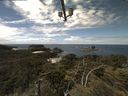 ./images/calvert/lookout/20210615/lookout20210615_131001.jpg