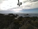 ./images/calvert/lookout/20210615/lookout20210615_140502.jpg