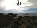 ./images/calvert/lookout/20210615/lookout20210615_141502.jpg