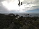 ./images/calvert/lookout/20210615/lookout20210615_142002.jpg