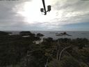 ./images/calvert/lookout/20210615/lookout20210615_142501.jpg