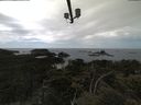 ./images/calvert/lookout/20210615/lookout20210615_144501.jpg