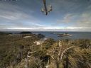 ./images/calvert/lookout/20210616/lookout20210616_102002.jpg