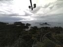 ./images/calvert/lookout/20210617/lookout20210617_073502.jpg