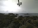 ./images/calvert/lookout/20210617/lookout20210617_081501.jpg