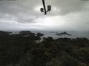 ./images/calvert/lookout/20210617/lookout20210617_085502.jpg