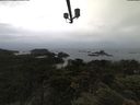 ./images/calvert/lookout/20210617/lookout20210617_090502.jpg