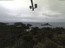 ./images/calvert/lookout/20210617/lookout20210617_092002.jpg