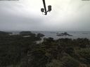 ./images/calvert/lookout/20210617/lookout20210617_093501.jpg