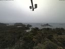 ./images/calvert/lookout/20210617/lookout20210617_094501.jpg