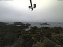 ./images/calvert/lookout/20210617/lookout20210617_095001.jpg