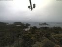 ./images/calvert/lookout/20210617/lookout20210617_095501.jpg